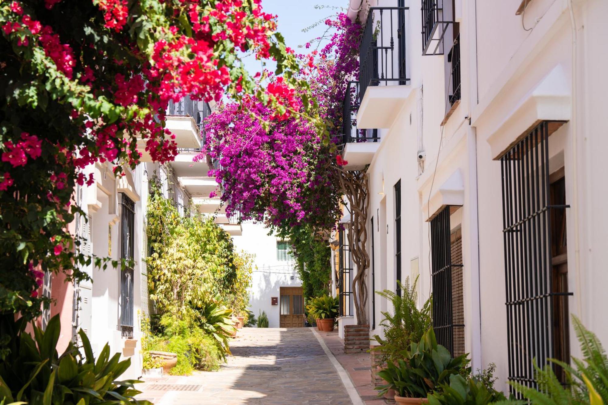 Luxury Duplex 106 Close To The Apartamento