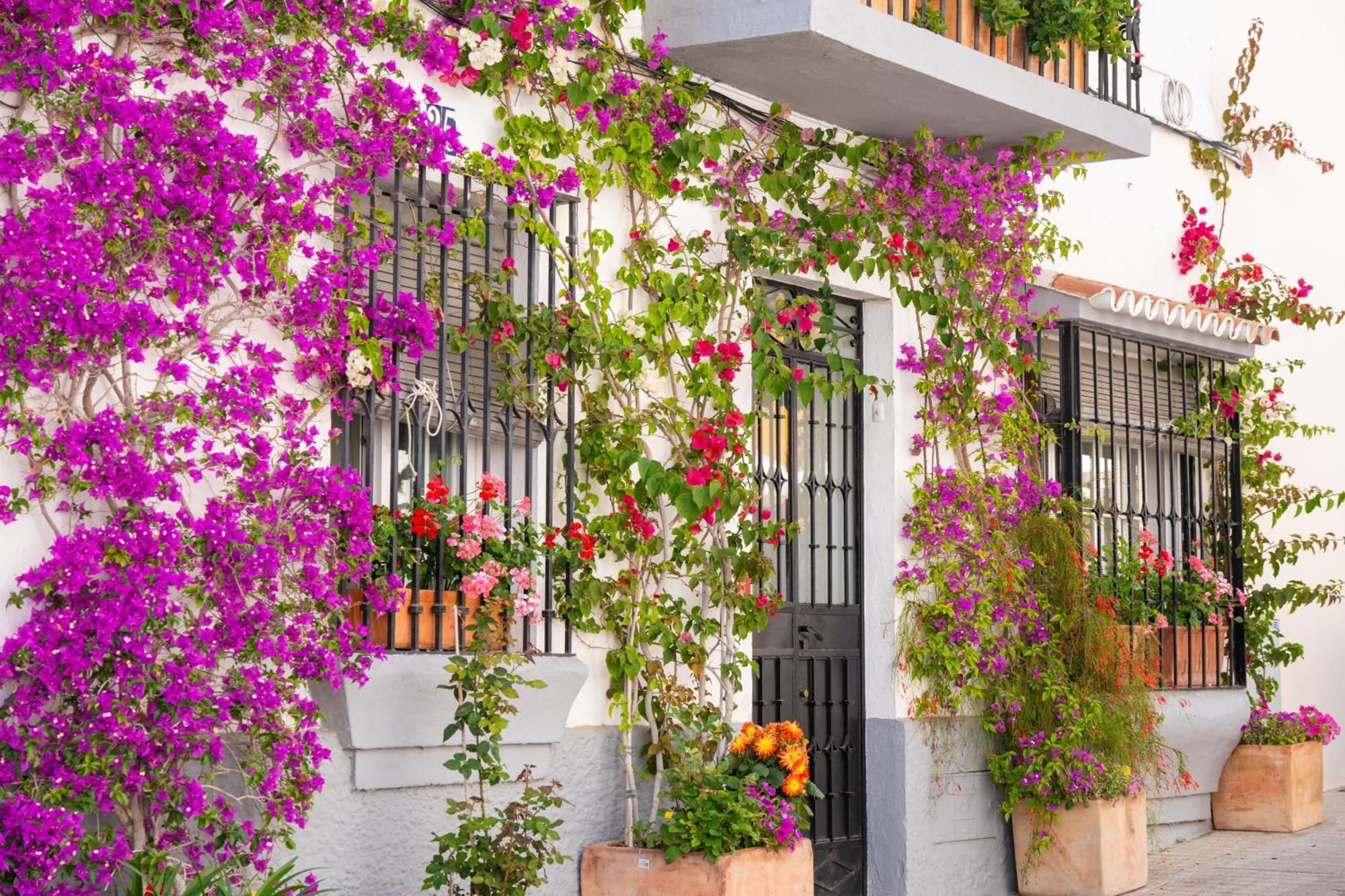 Apartamento Luxury Duplex 106 Close To The